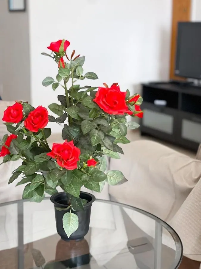 Apartment Capella, Larnaca 0*,